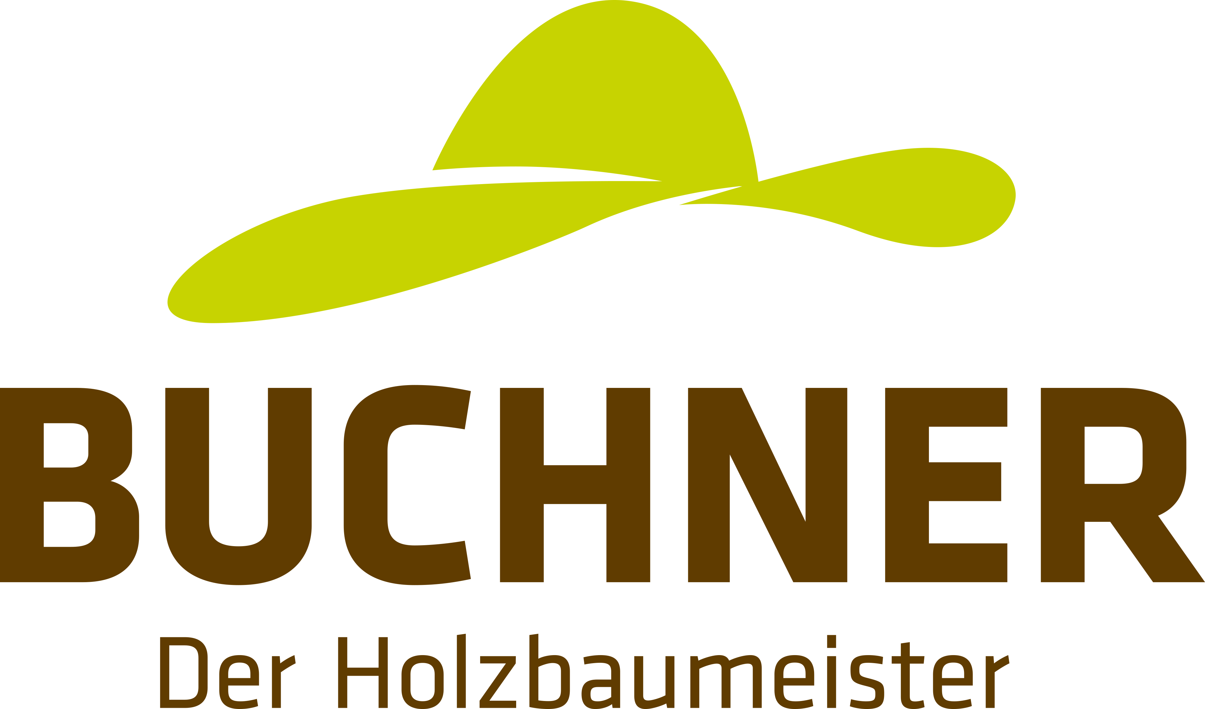Buchner Holzbau