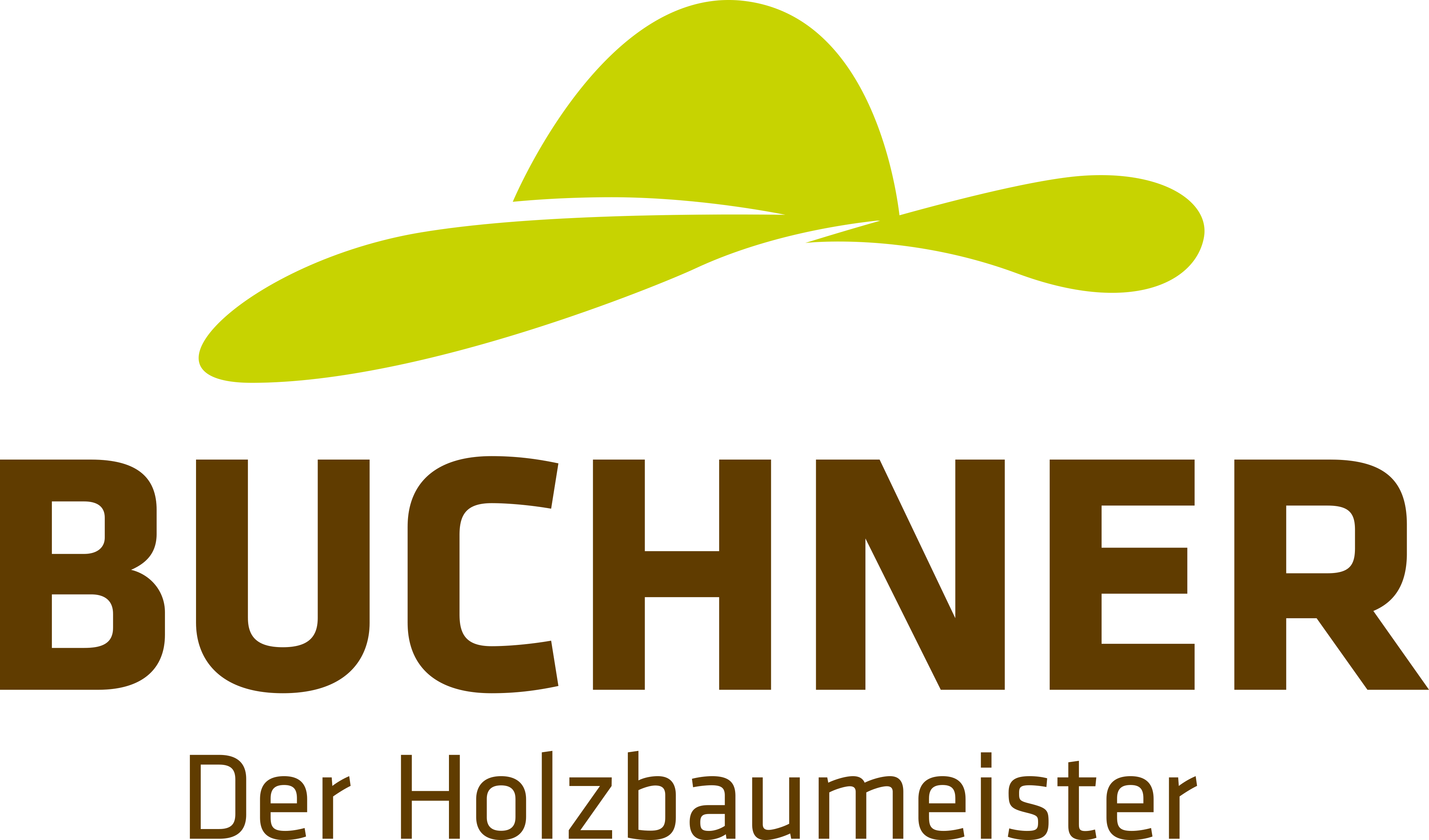 Buchner Holzbaumeister