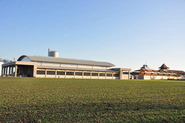 Weißhaidinger Holzbau